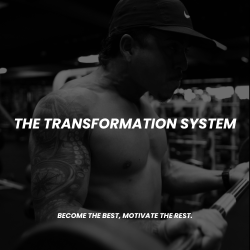 THE TRANSFORMATION SYSTEM
